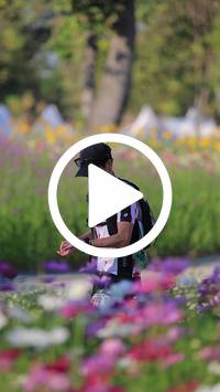 BIB:  <button type="button" onclick="openModal(27588514)" class="btn btn-primary btn-sm float-right" data-toggle="modal" data-target=".modal-high-quality">
                <i class="fa fa-download"></i> Download
                </button>